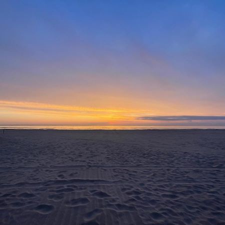 Apartamento Talamar Gandia Playa Playa de Gandia Dış mekan fotoğraf